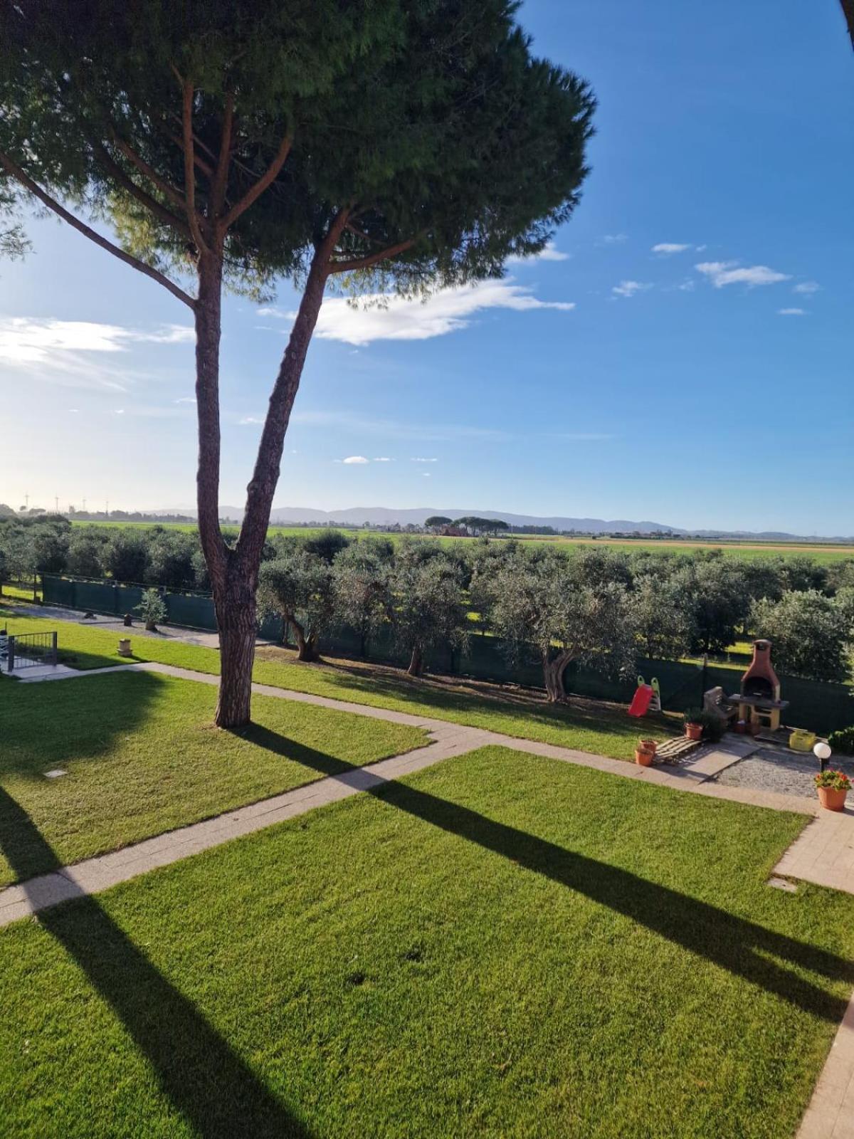 Agriturismo Podere Nonno Gino Piombino Exterior foto