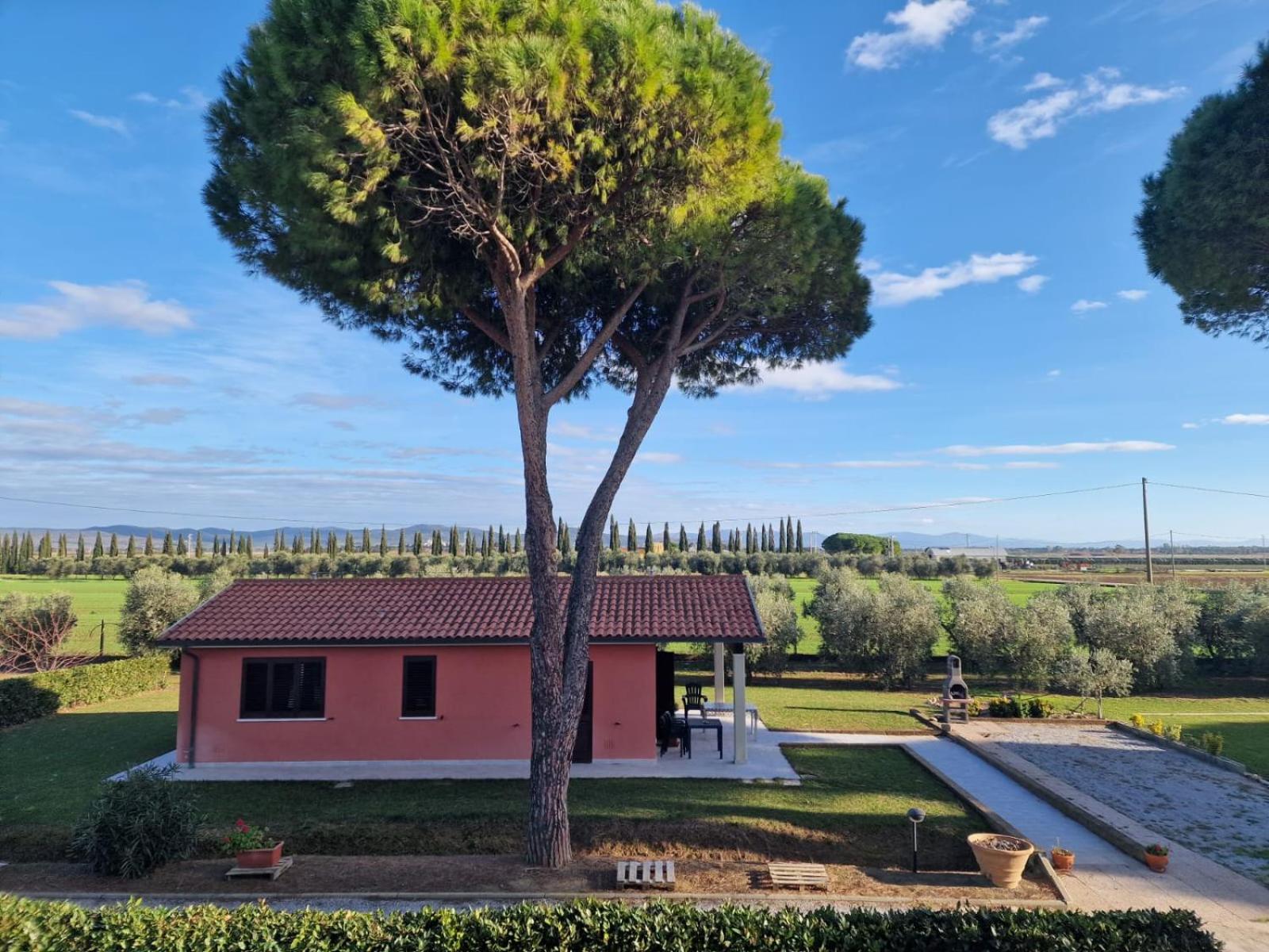 Agriturismo Podere Nonno Gino Piombino Exterior foto